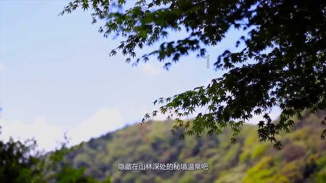 热带假日